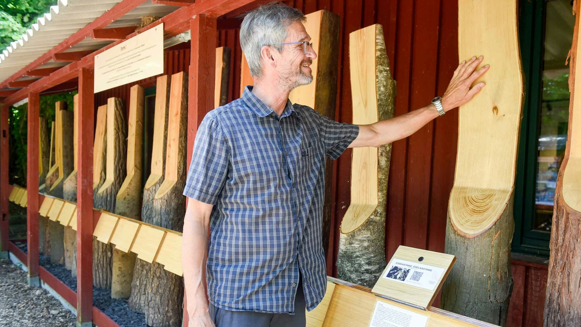 Schölmerich steht vor einer Reihe von Baumstämmen, die so angeschnitten sind, dass die obere Hälfte halbiert ist. Schölmerich legt eine Hand auf einen der Stämme.