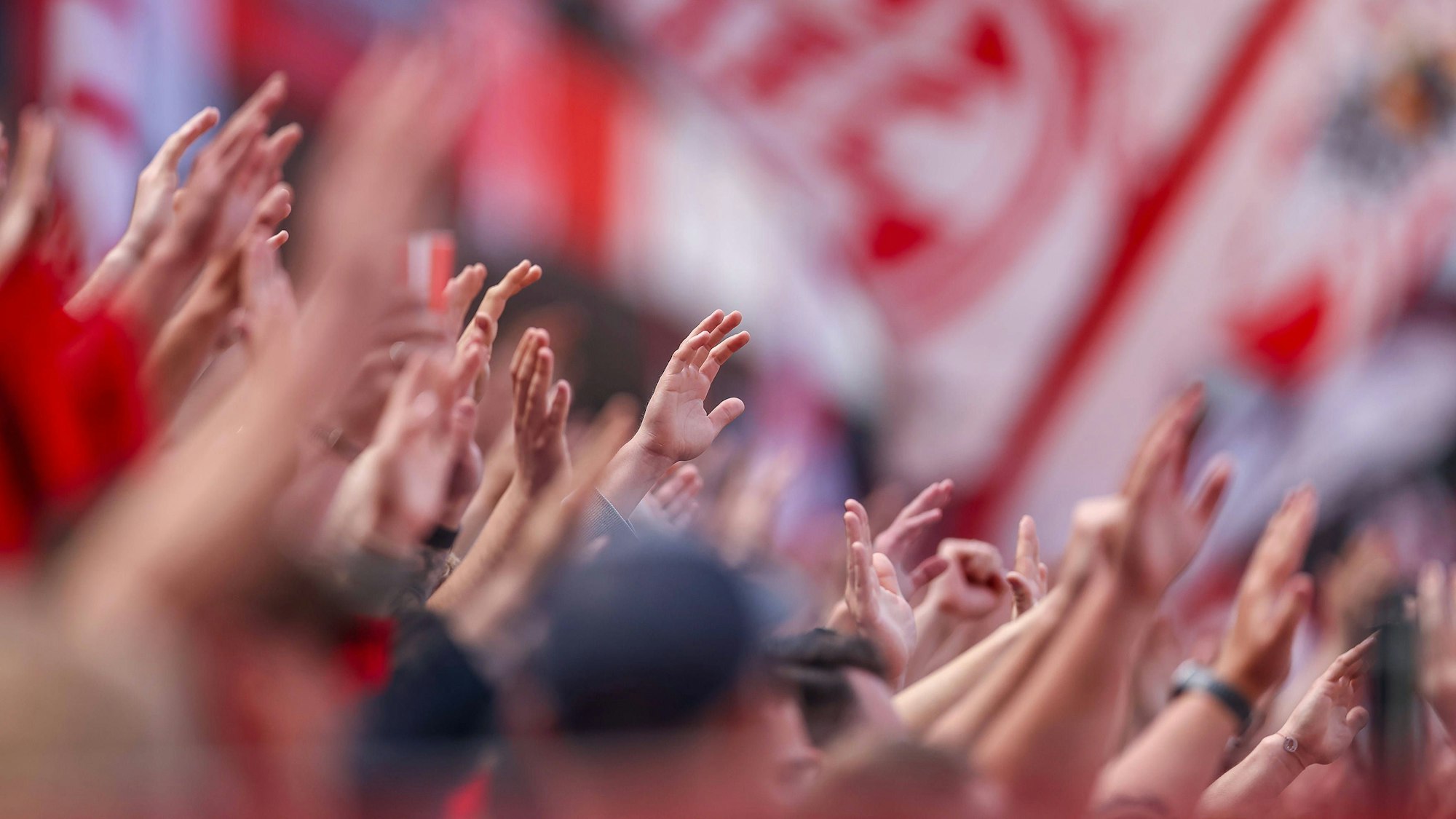 Fans des 1. FC Köln