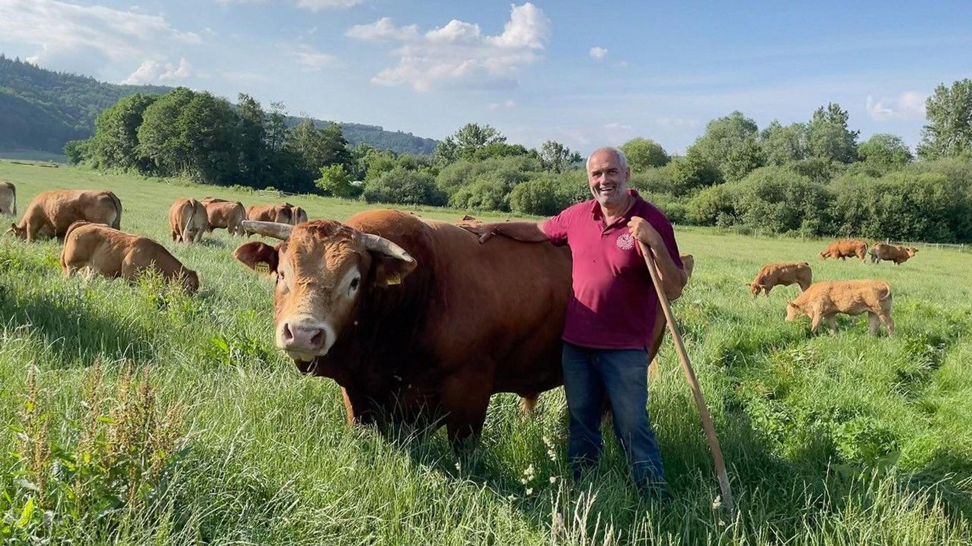 Auf der Weide ist der Chef des Hofladesn Maria Laach, Michael Ullenbruch, zu sehen.