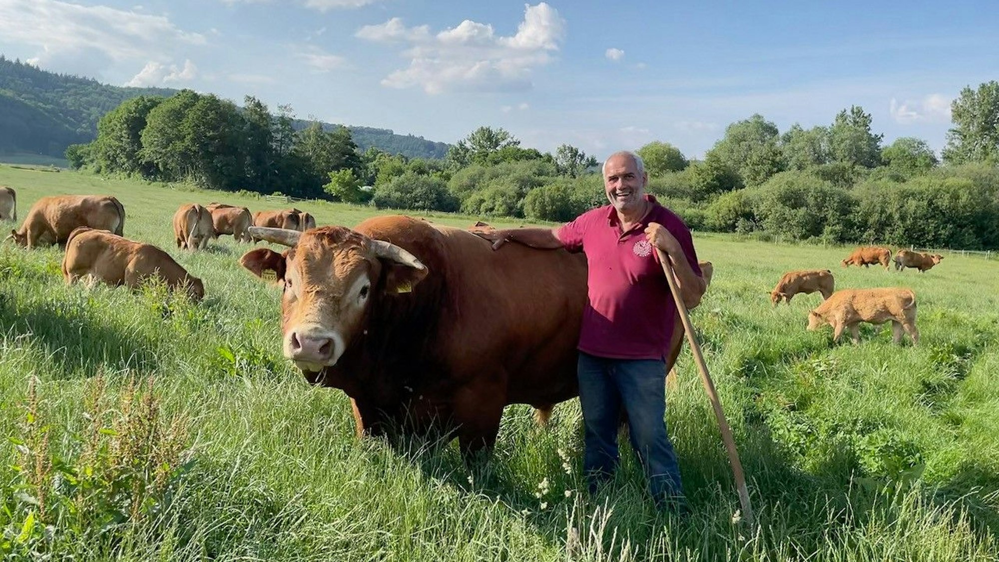 Auf der Weide ist der Chef des Hofladesn Maria Laach, Michael Ullenbruch, zu sehen.