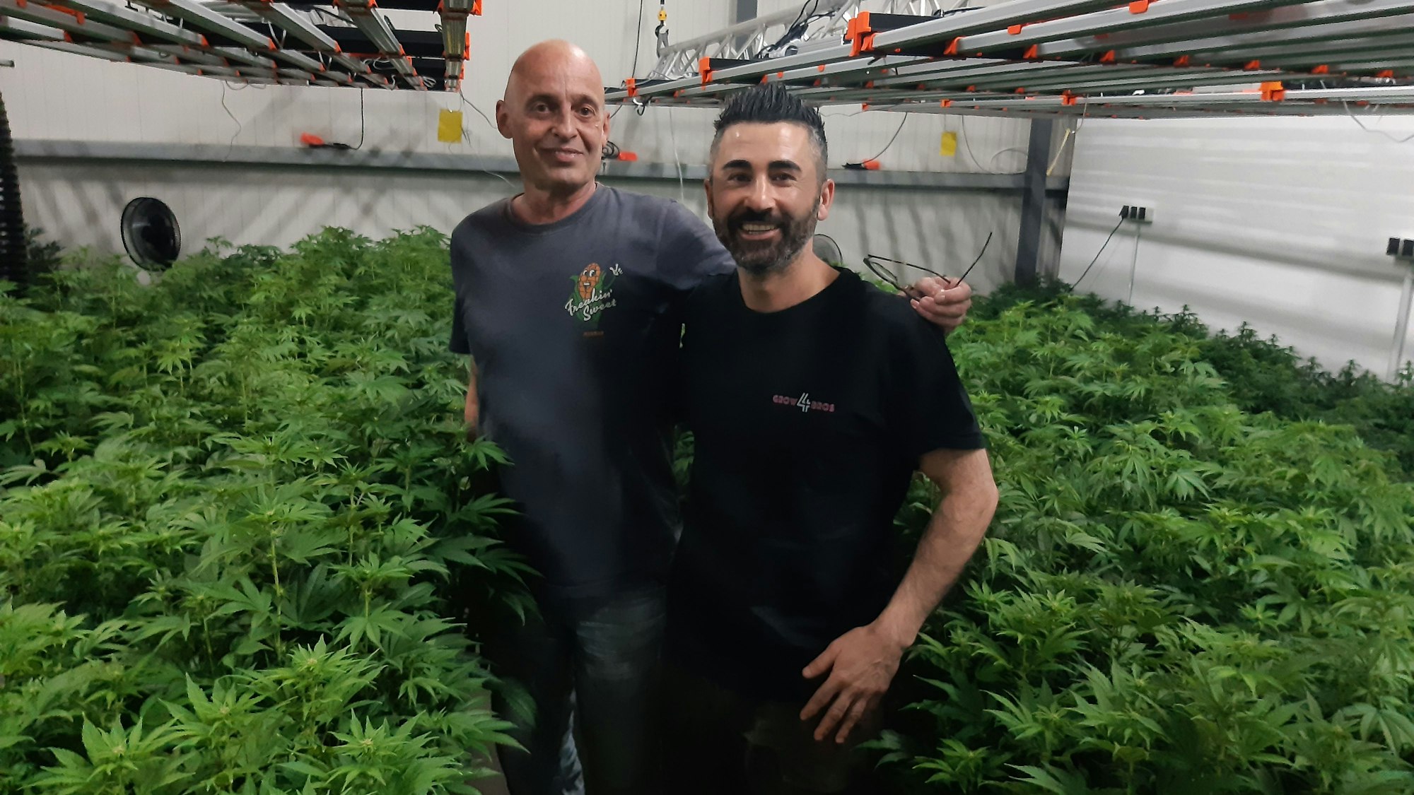 Das Foto zeigt Stephan Teine und Kayal von „Cannabis First“ in ihrer Halle mit Cannabispflanzen.