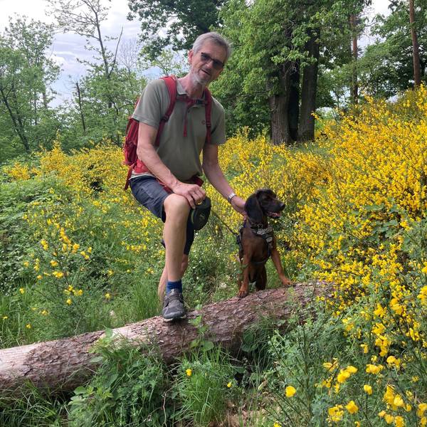 Uwe Schölmerich beobachtete die Wälder der Gegend Jahrzehnte lang als Forstamtsleiter Rhein-Sieg-Erft.
