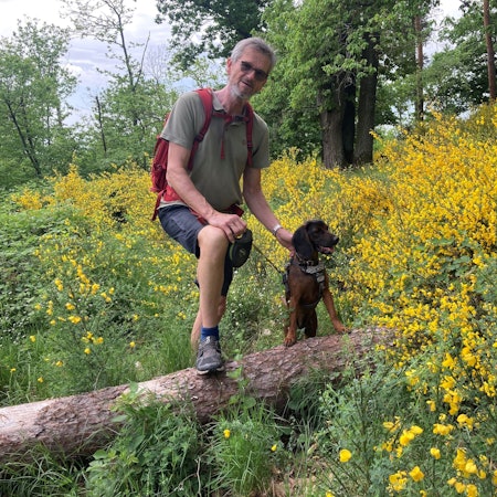 Uwe Schölmerich beobachtete die Wälder der Gegend Jahrzehnte lang als Forstamtsleiter Rhein-Sieg-Erft.