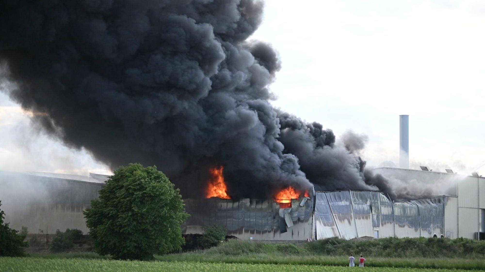 Das Bild zeigt das Feuer.