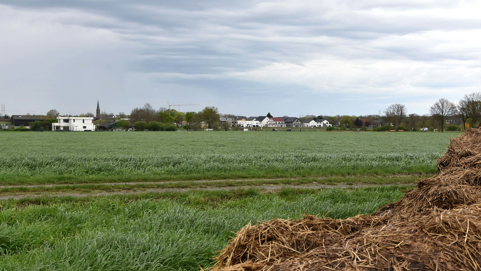 Das Bild zeigt ein grünes Feld. Im Hintergrund sieht man einige Gebäude, eine Kirchturmspitze, einen Kran.
