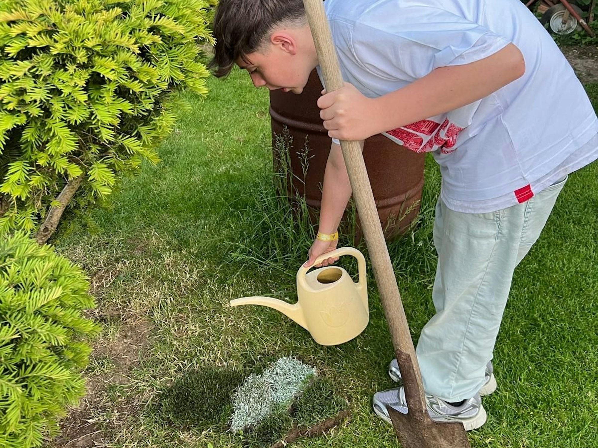 Das Bild zeigt Ben Lennartz, der mit einer Gießkanne den frisch aufgebrachten Rasen wässert.