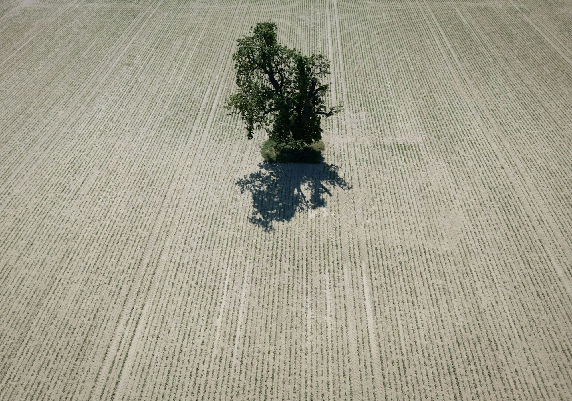 Weite Teile Europas leiden seit Jahren unter zunehmender Wasserknappheit. (Archivbild)
