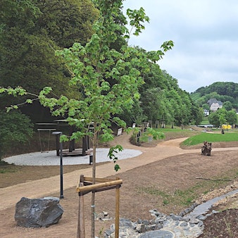 Das Bild zeigt die neue Parkanlage in Blankenheim mit Sandwegen und einem Bach.