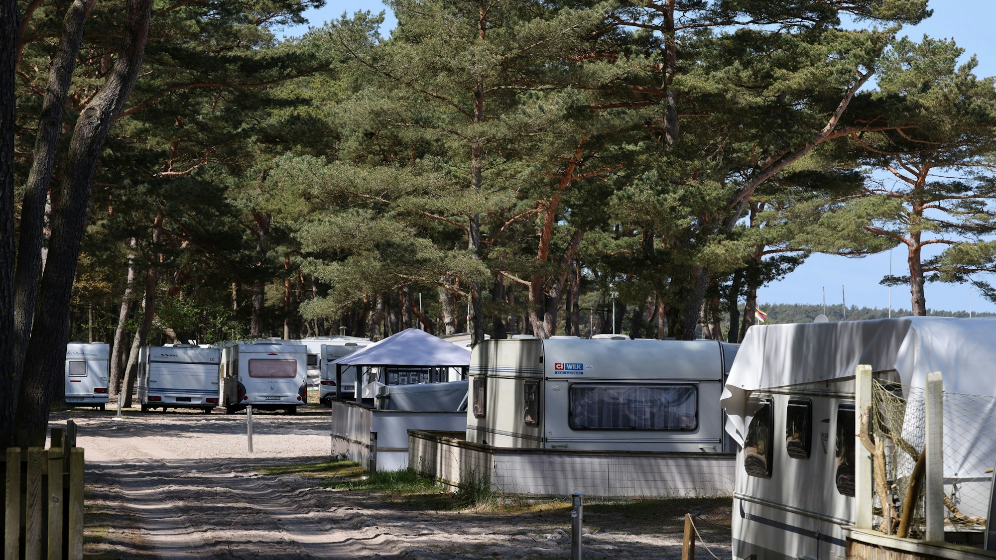 Wohnwagen stehen auf einer Waldfläche des Campingplatzes an der Ostsee.