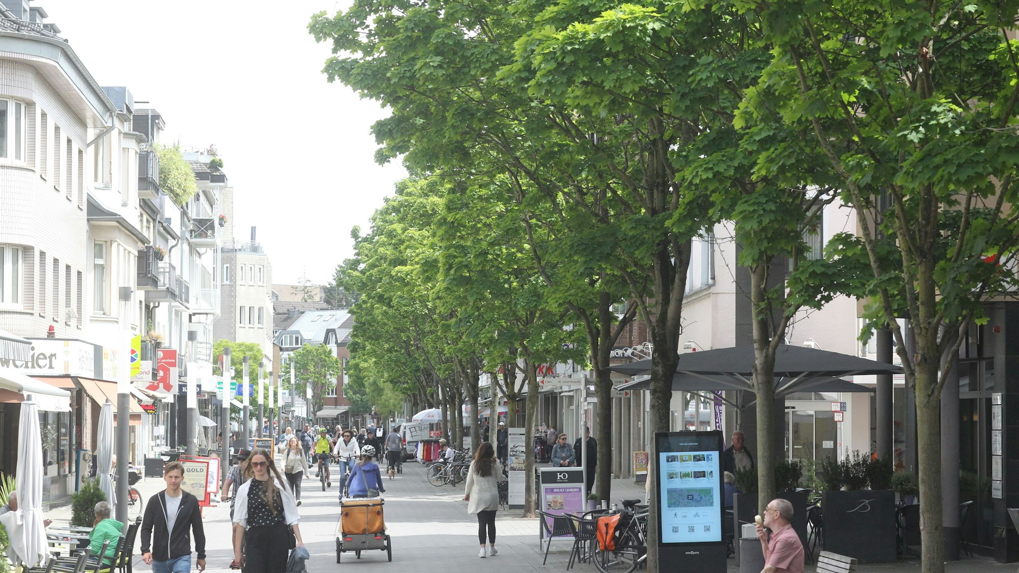 Insgesamt 71 Bäume sind entlang der Kölner Straße seit dem Jahr 2000 neu gepflanzt worden.