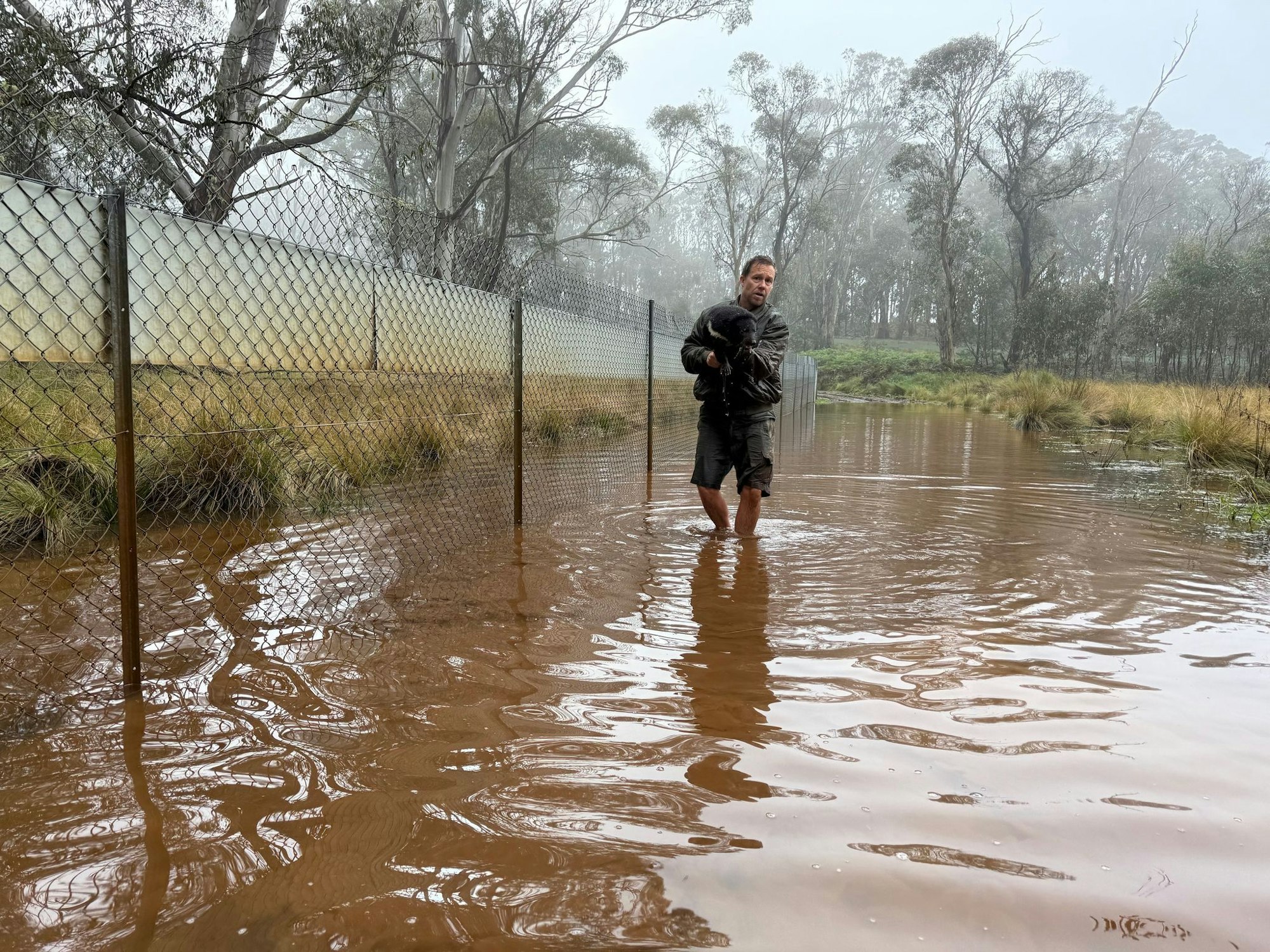 Aussie-Ark-Direktor Tim Faulkner brachte viele Tiere in Sicherheit - wie diesen Tasmanischen Teufel.