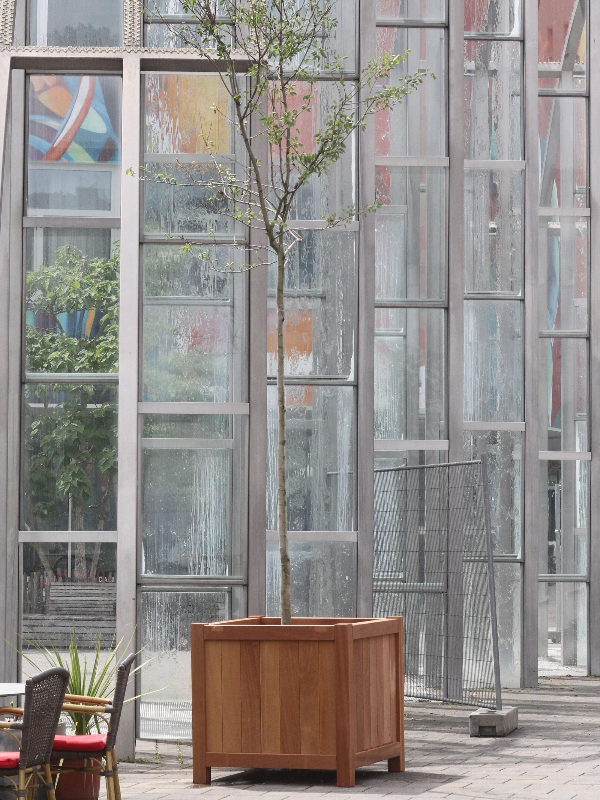 Auch am oberen Stadttor steht ein neuer Baum.