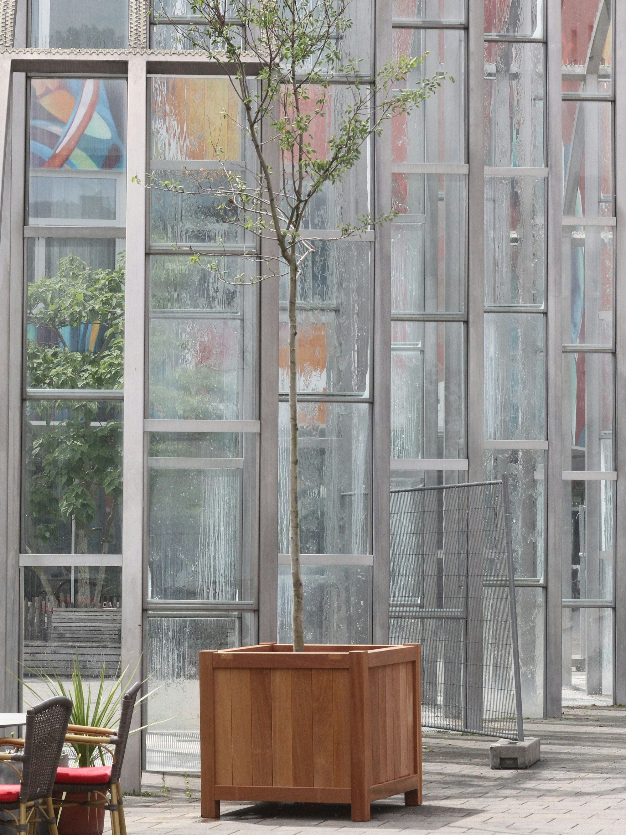 Auch am oberen Stadttor steht ein neuer Baum.