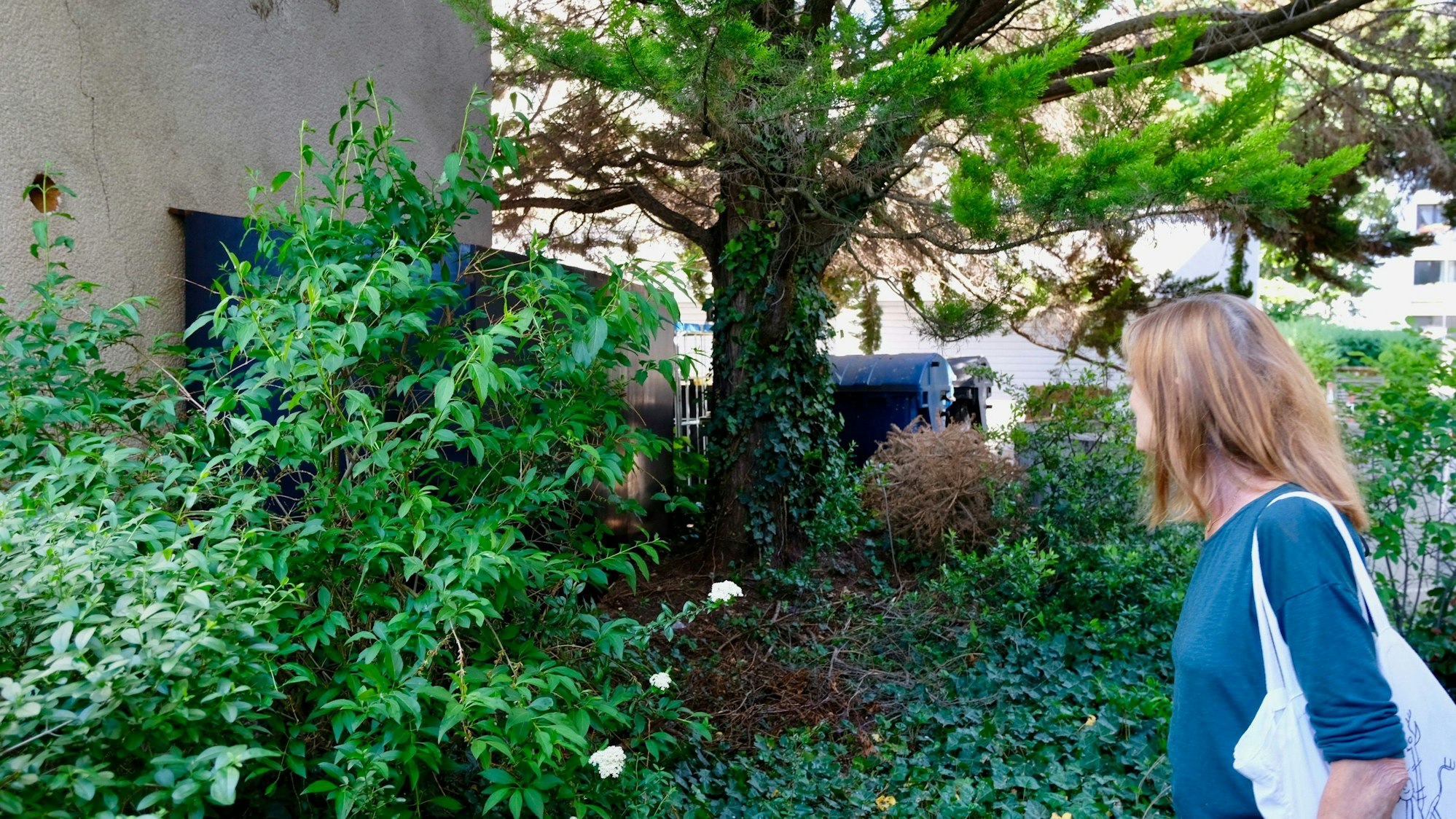 Anwohnerin Lydia Kieven bei einer Inspektion der störenden Anlage an der Mauer gegenüber ihrer Wohnung.