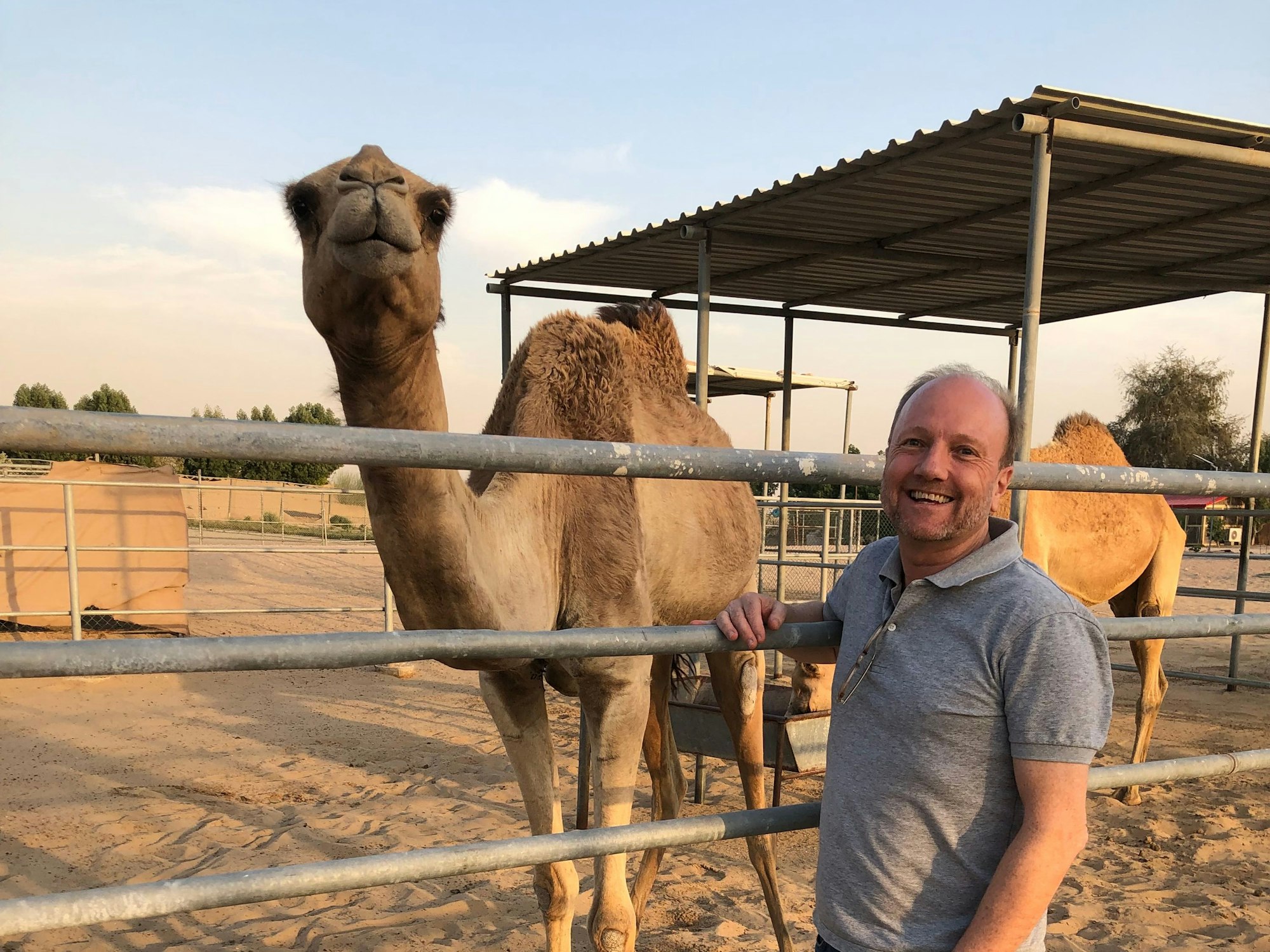 Martin van Almsick mit einem seiner Kamele.