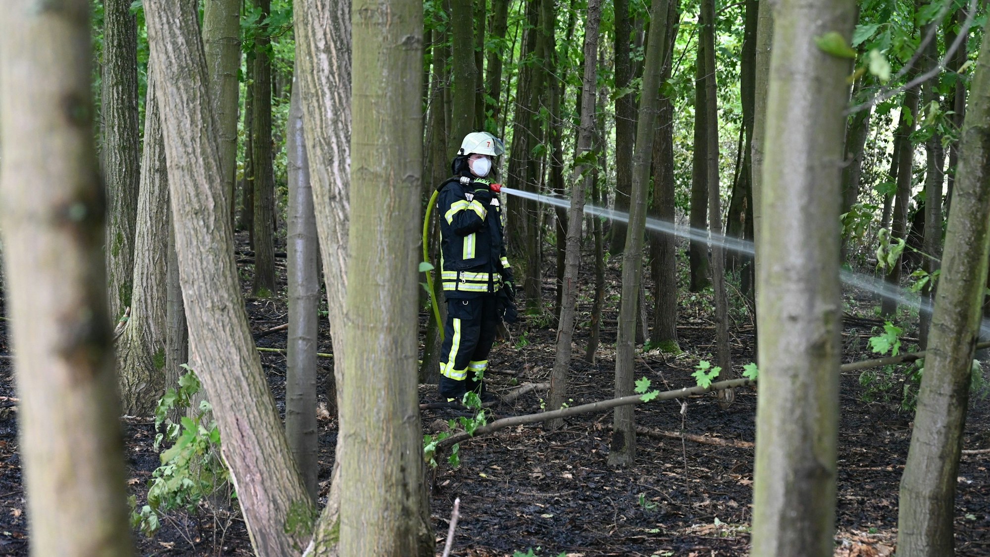 Ein Feuerwehrmann löscht Brandnester in einem Waldstück in Kerpen-Brüggen.