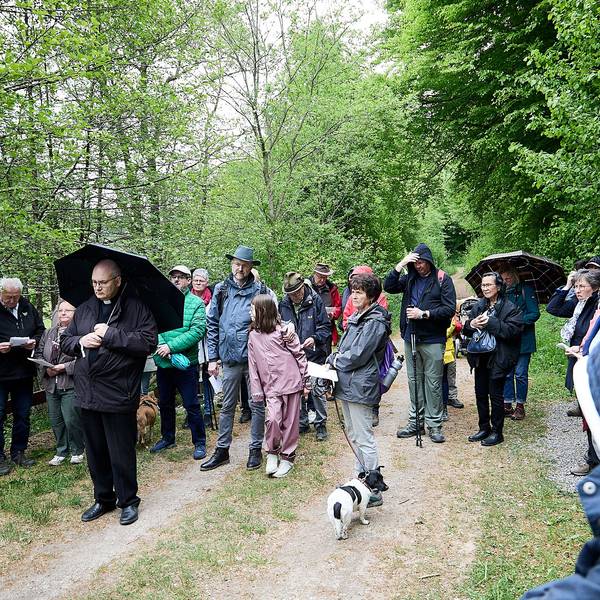 Pilger stehen bei Regen auf einem Waldweg.