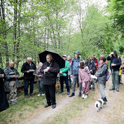 Pilger stehen bei Regen auf einem Waldweg.