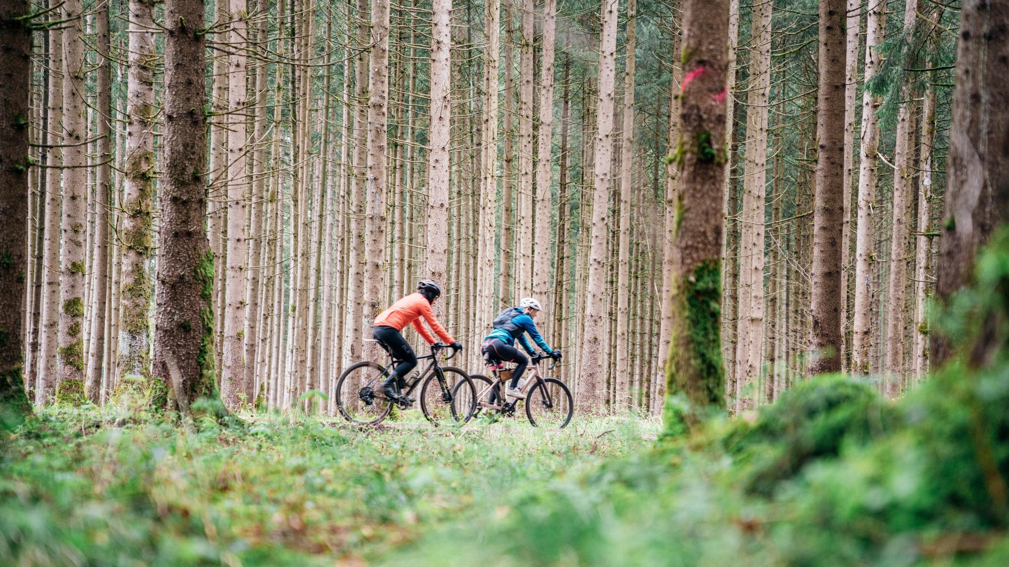 Zwei Radfahrer radeln durch einen Nadelwald.