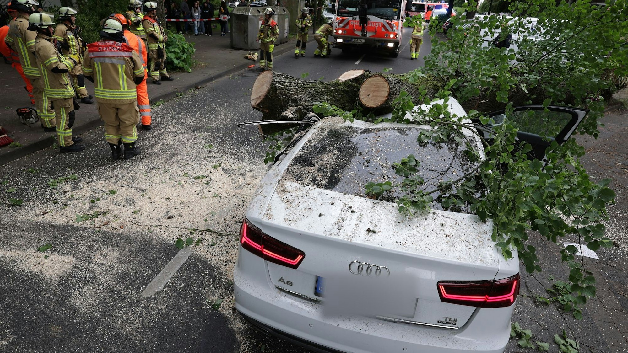 Warum der Baum umkippte, war noch unklar. Einen Sturm gab es nicht.