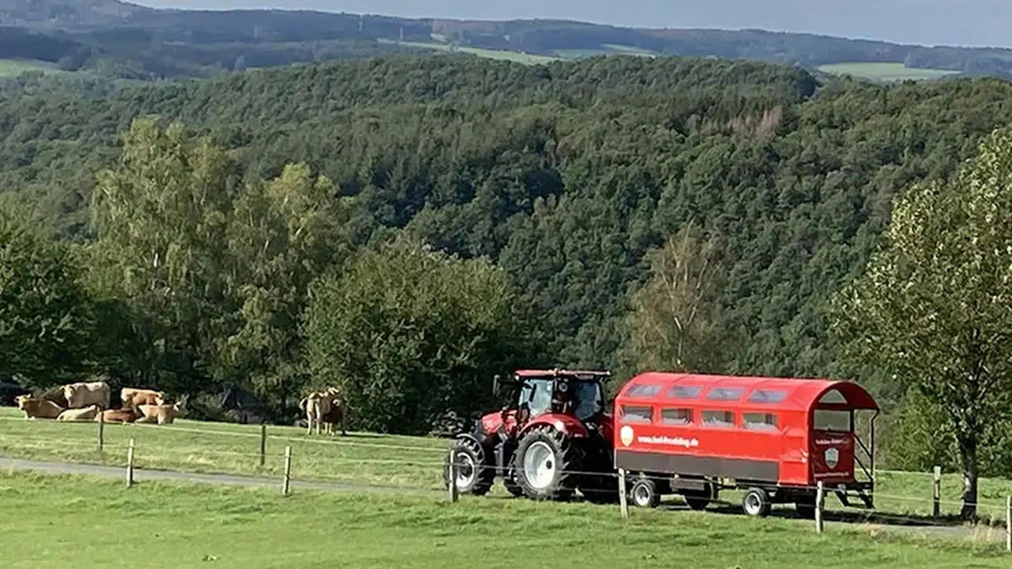 Mit dem Planwagen durchs Windecker Ländchen. Christian Gelhausen vom Hof Fröhling in Hurst steuert das Gespann.
