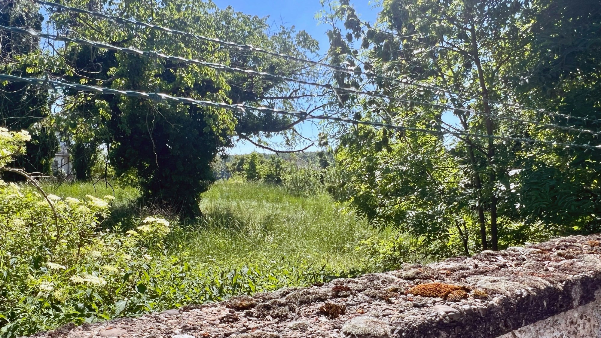 Hinter einer Mauer mit Stacheldraht ist eine Grünfläche zu sehen.