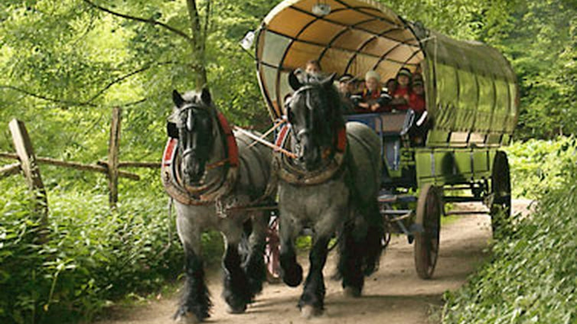 An der Gammersbacher Mühle können Planwagen-Fahrten gebucht werden.
