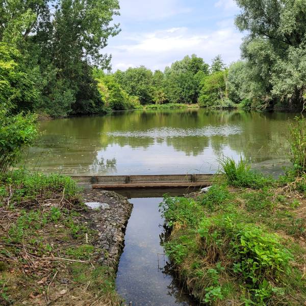Blick auf die Überlaufschwelle und einen der Aufbereitungsteiche an der Großen Laache.