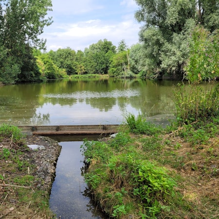 Blick auf die Überlaufschwelle und einen der Aufbereitungsteiche an der Großen Laache.