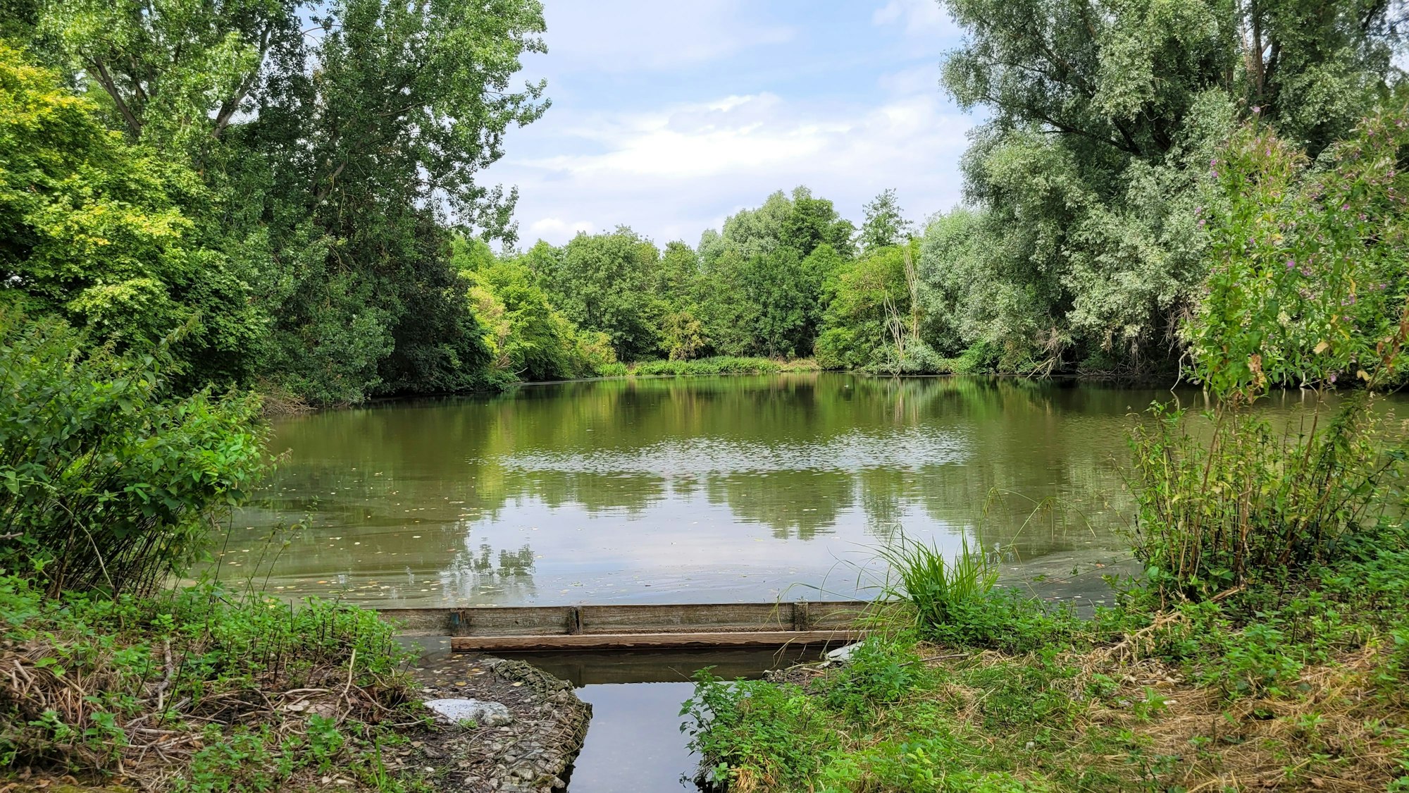 Blick auf die Überlaufschwelle und einen der Aufbereitungsteiche an der Großen Laache.