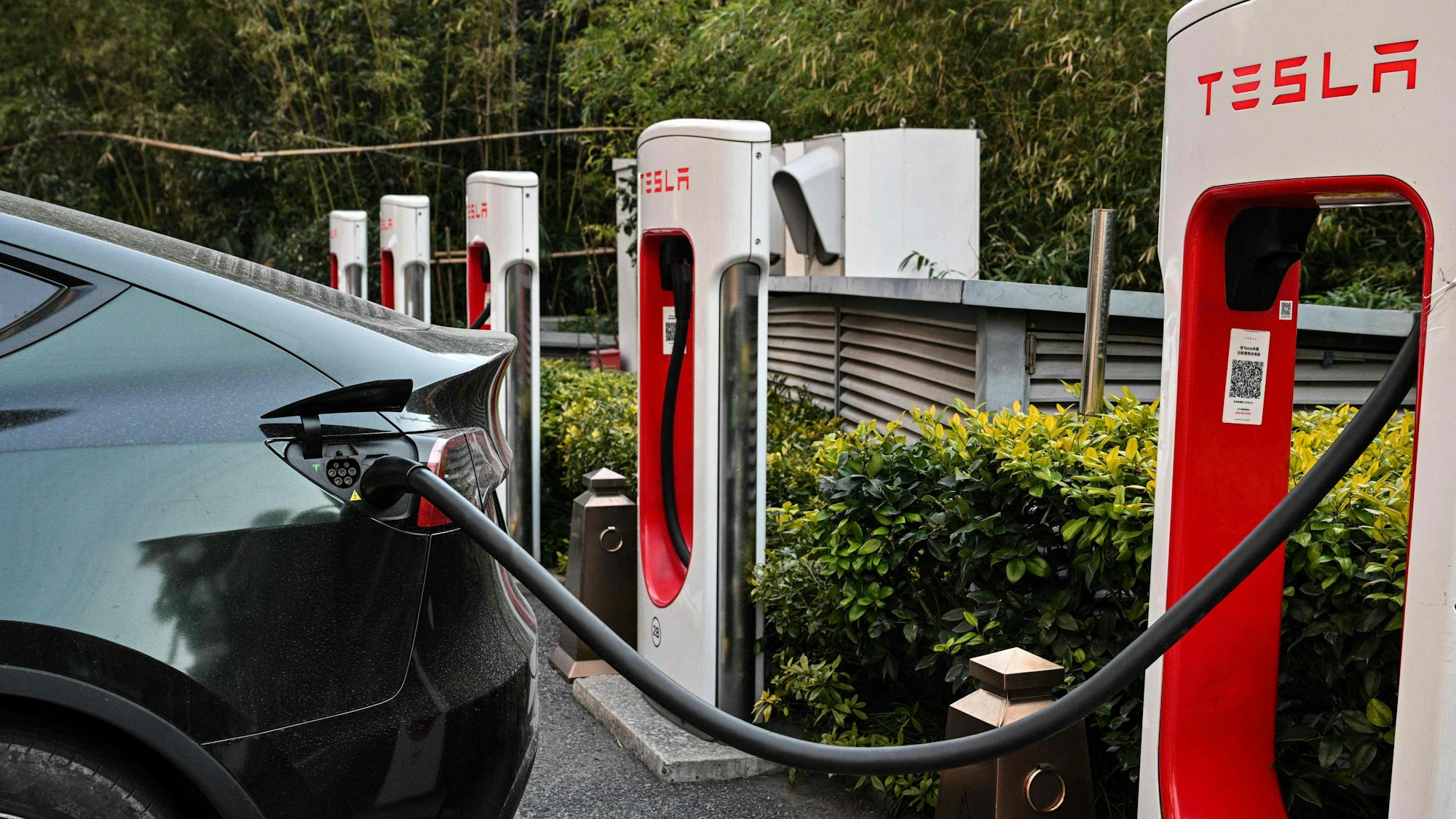Teslas Absatz in Europa bricht weiter ein – Konkurrenz aus Deutschland und China holt auf. (Symbolbild)