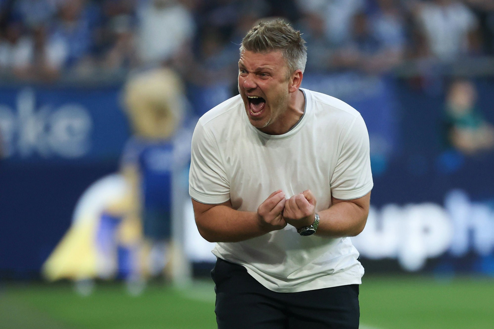 2. Bundesliga - FC Schalke 04 - SC Paderborn am 02.05.2025 in der Veltins-Arena auf Schalke Trainer Lukas Kwasniok Paderborn *** 2 Bundesliga FC Schalke 04 SC Paderborn on 02 05 2025 in the Veltins Arena at Schalke Coach Lukas Kwasniok Paderborn MH