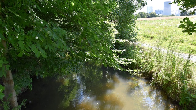 Das Bild zeigt den Gillbach und rechts am Horizont einen Kühlturm des Kraftwerks.