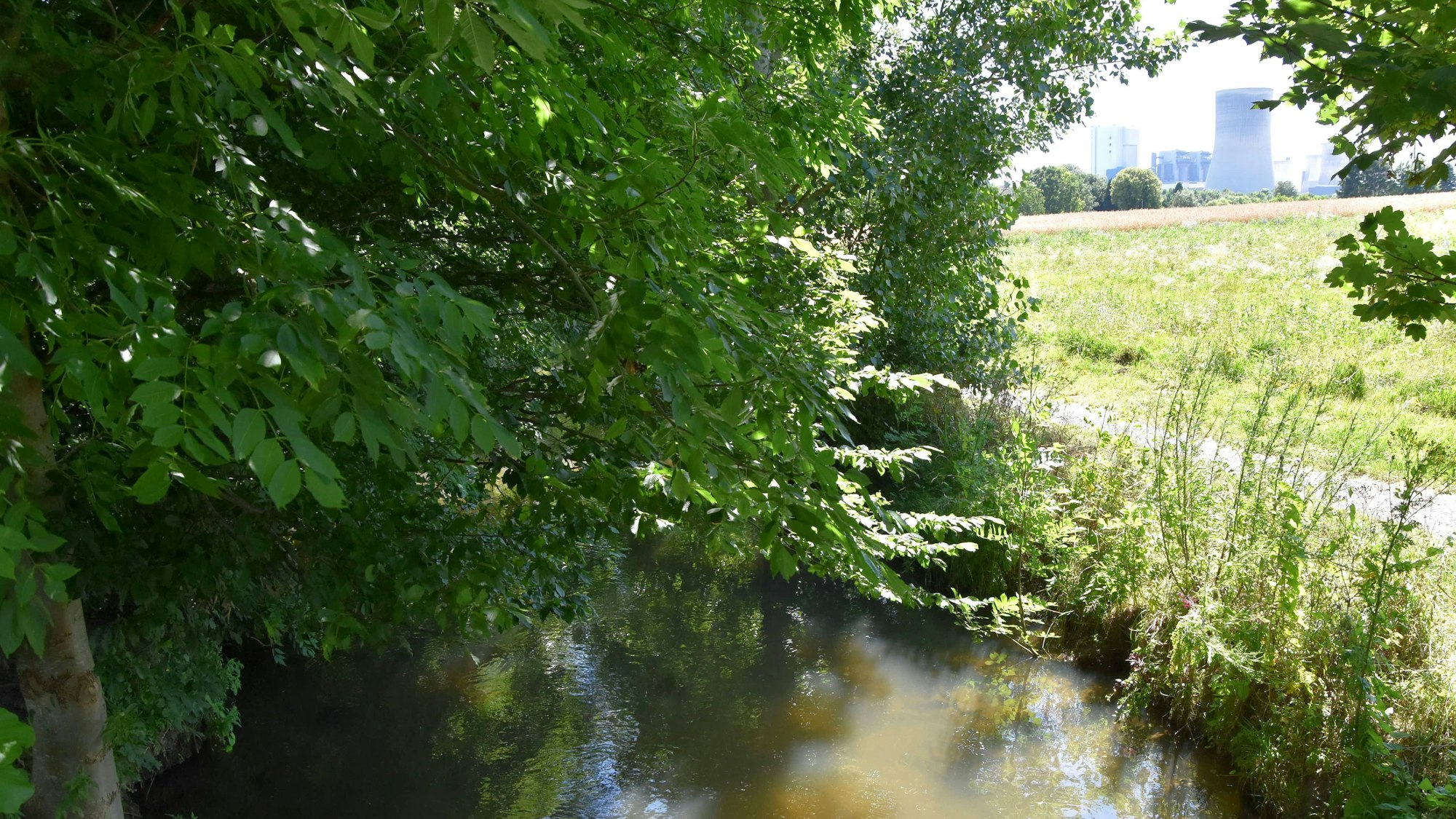 Das Bild zeigt den Gillbach und rechts am Horizont einen Kühlturm des Kraftwerks.