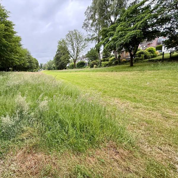 Grünland an der Floßwiese in Hilgen