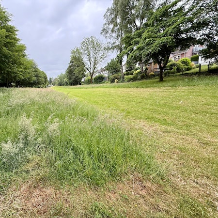 Grünland an der Floßwiese in Hilgen