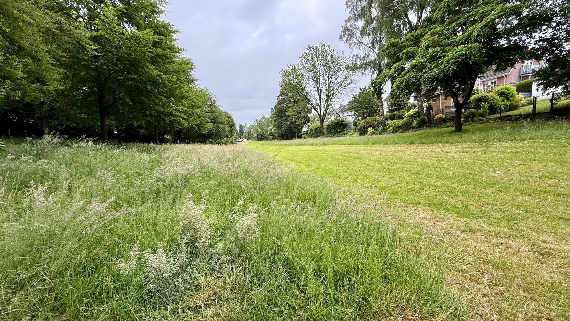 Grünland an der Floßwiese in Hilgen