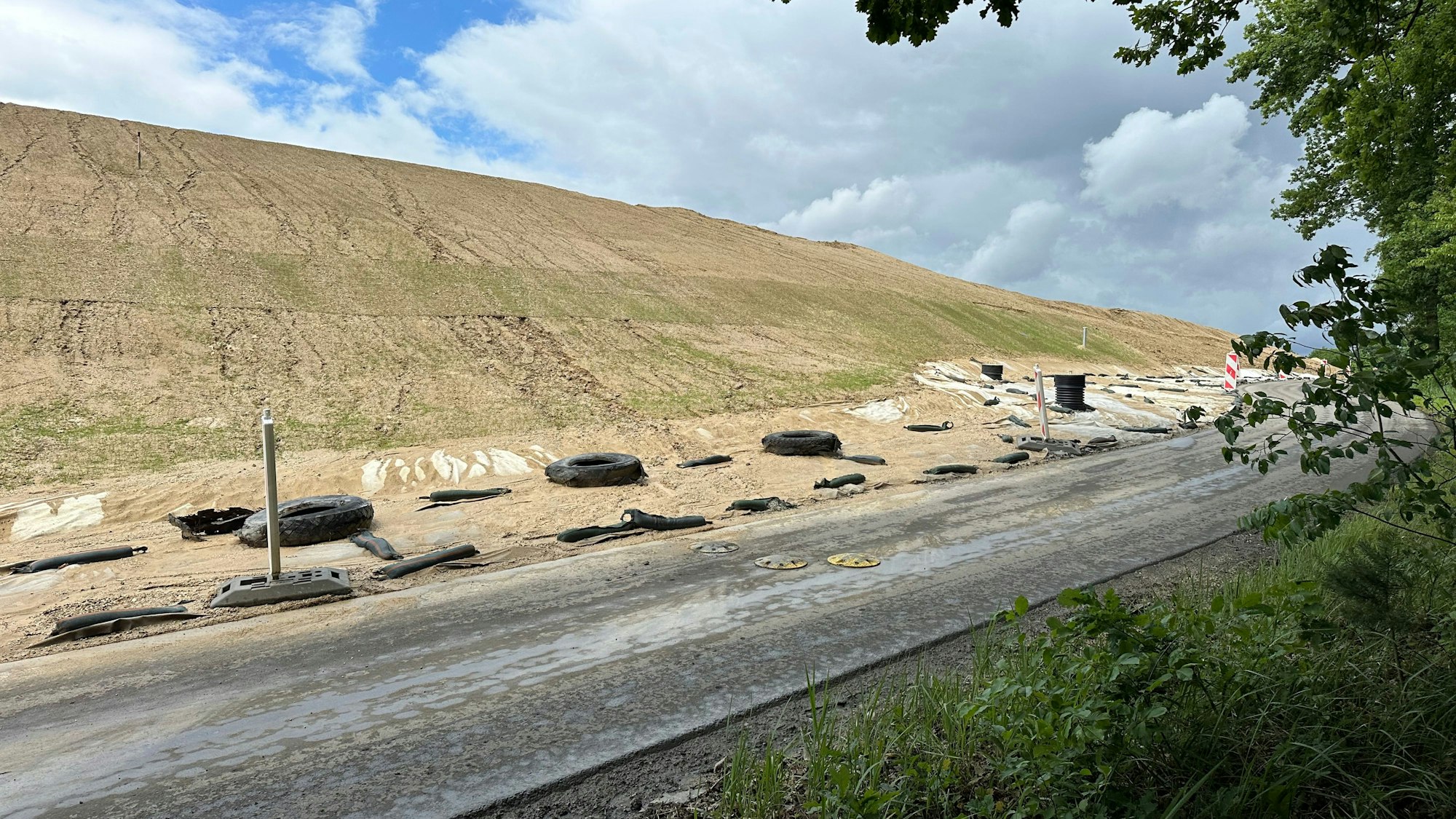 Wenn die Deponie komplett abgedichtet ist, dann können dort auch wieder Pflanzen Platz finden.