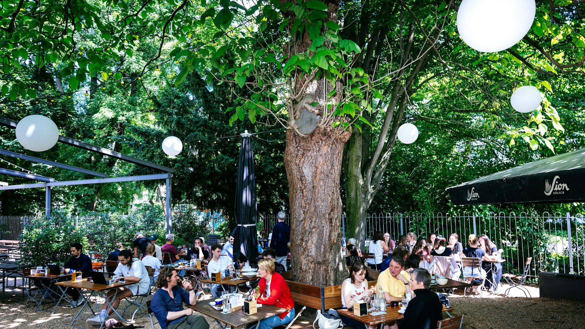 Der Stadtgarten in Köln - eine Oase mitten in der City.