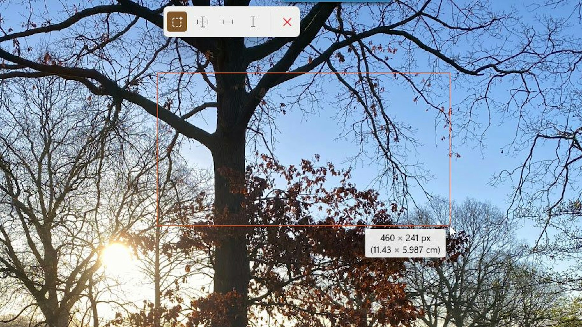 Das Tool Bildschirmlineal misst Abstände auf einem Foto