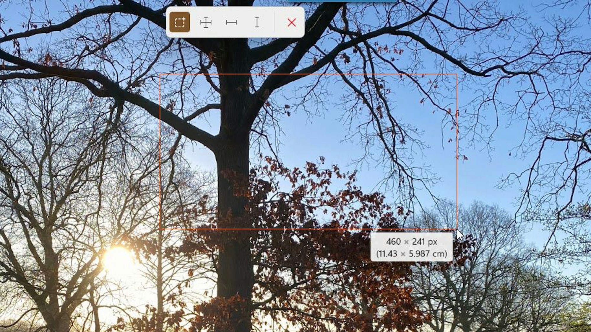 Das Tool Bildschirmlineal misst Abstände auf einem Foto