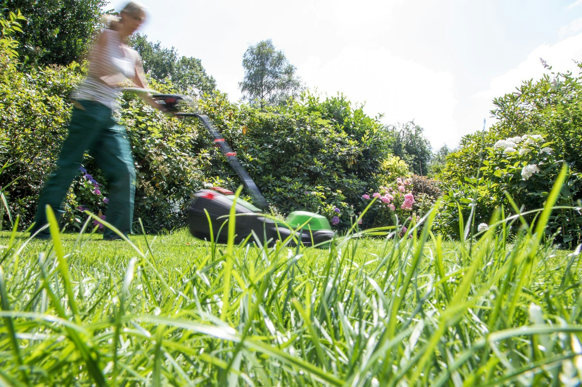 Kurz getrimmt oder dichtes Gras? Für Gartenliebhaber und Gartenliebhaberinnen sowie für Tiere hat es viele Vorteile, wenn seltener gemäht wird.