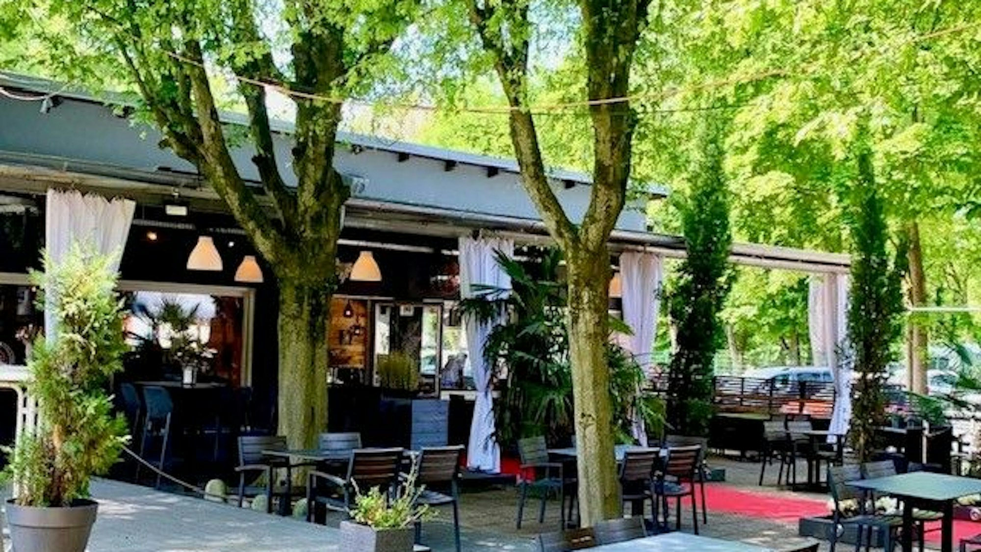 Das Gasthaus Wildwechsel in Köln-Dünnwald - lauschiger Garten mitten im Wald.