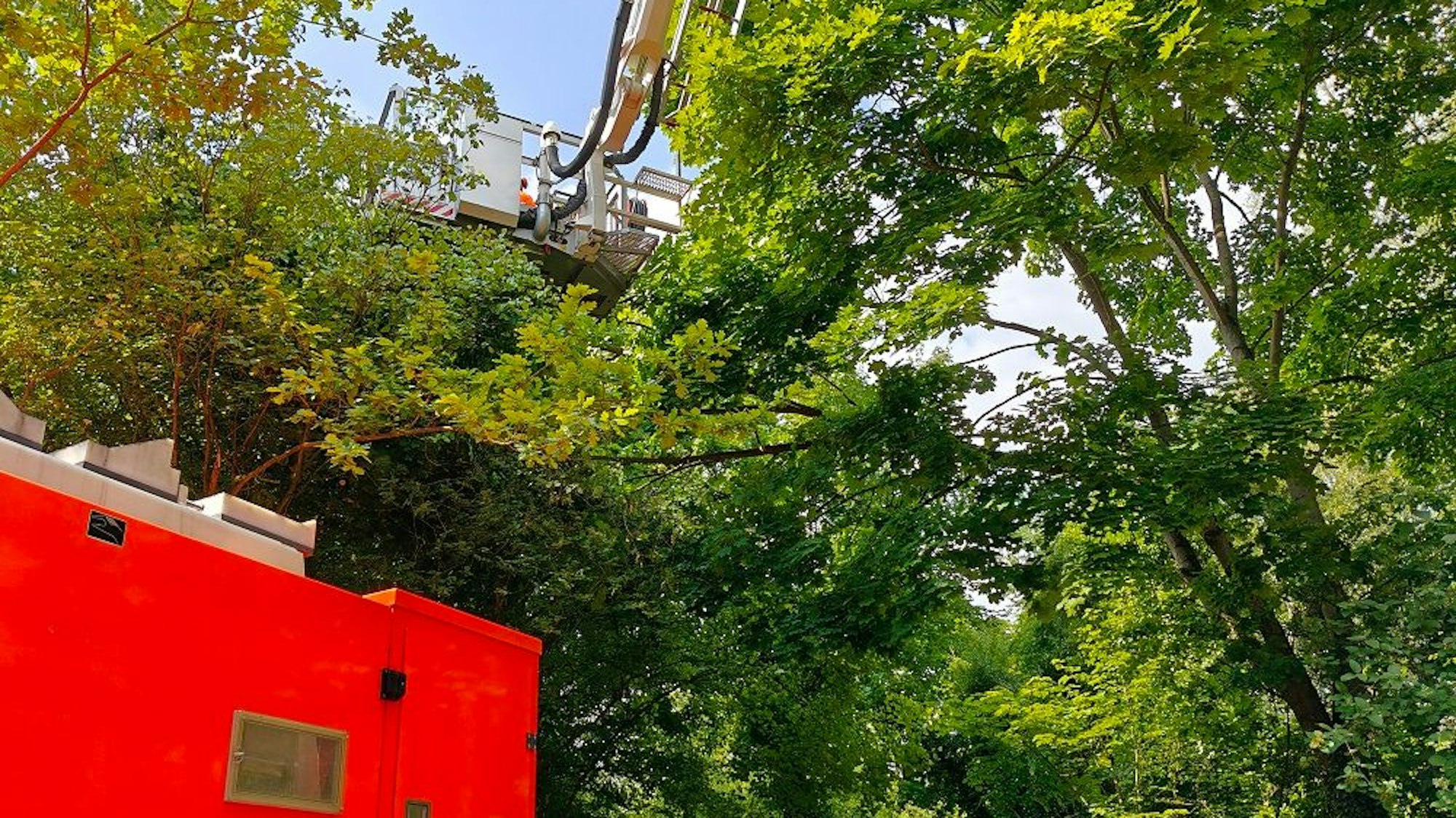 An der Europaschule in Kerpen hat die Feuerwehr Sturmschäden beseitigt.