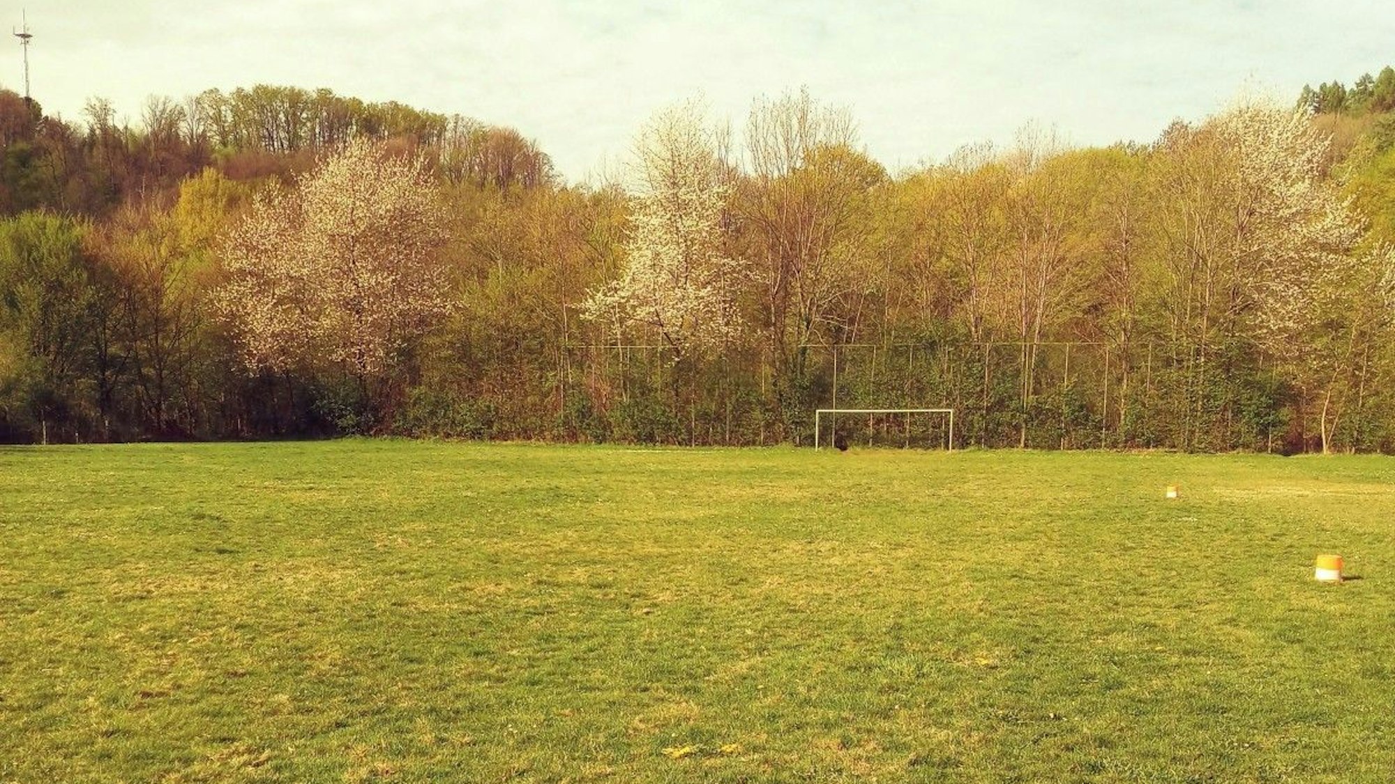 Der Wahlscheider Bolzplatz im Aggerbogen: Die Wiese ist in gutem Zustand, aber der Ballfangzaun ist beschädigt