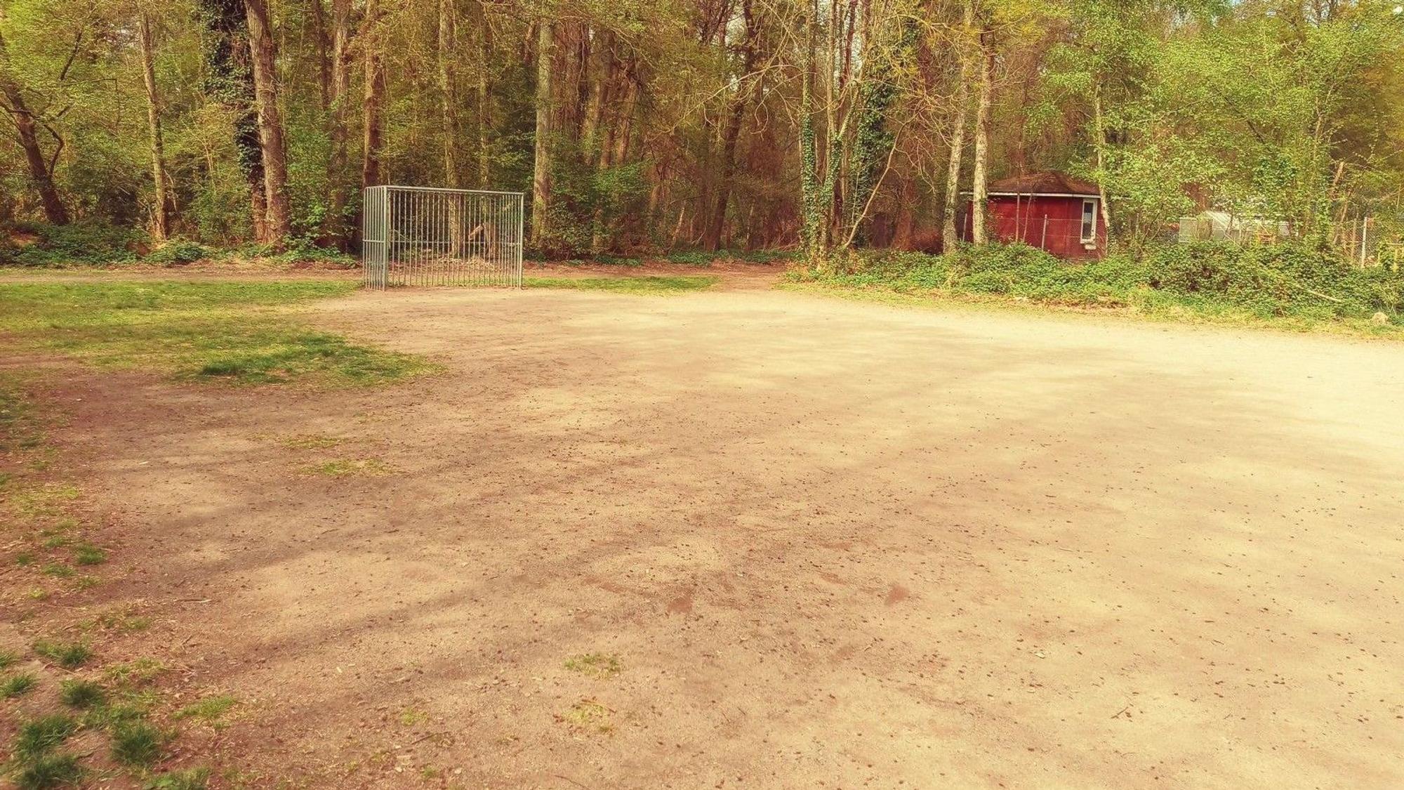 Der Bolzplatz in Heide: Jugendliche kamen in den Ausschuss, um zu erfahren, wann es endlich einen neuen Ballfangzaun geben soll
