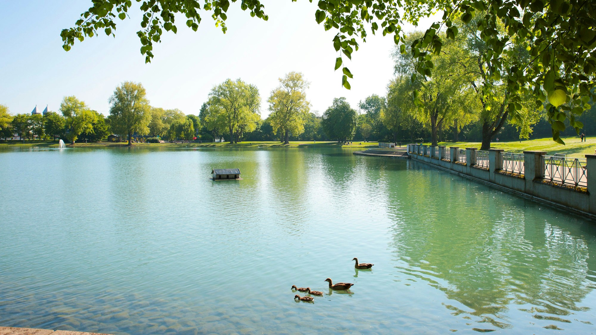 Köln: Wetter Frühling am Aachener Weiher