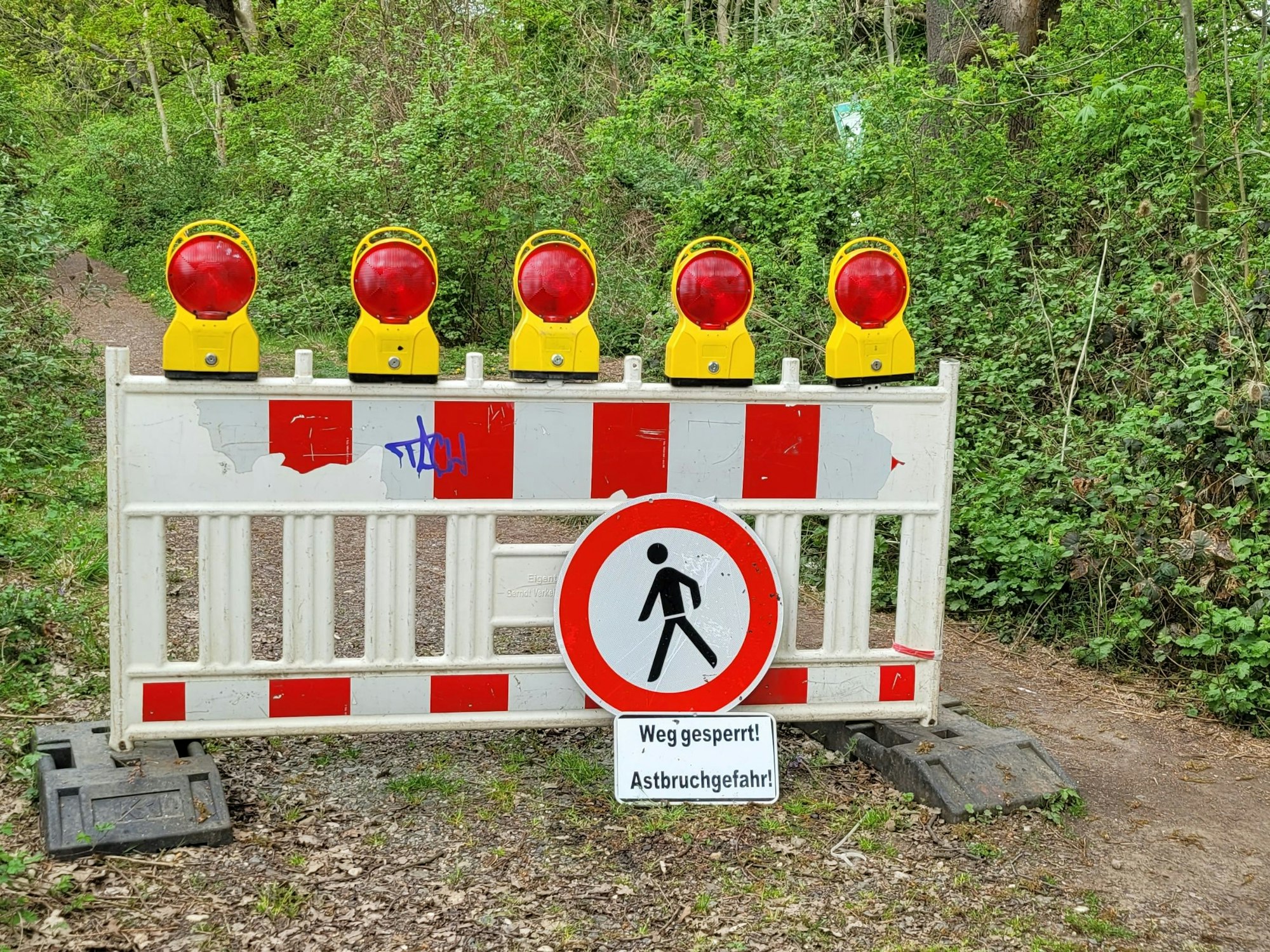 Eine Absperrbake, sie wurde wegen Windbruchgefahr aufgestellt.