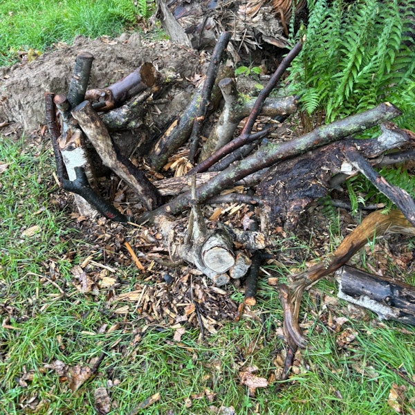 Holzstämme liegen auf dem Boden.