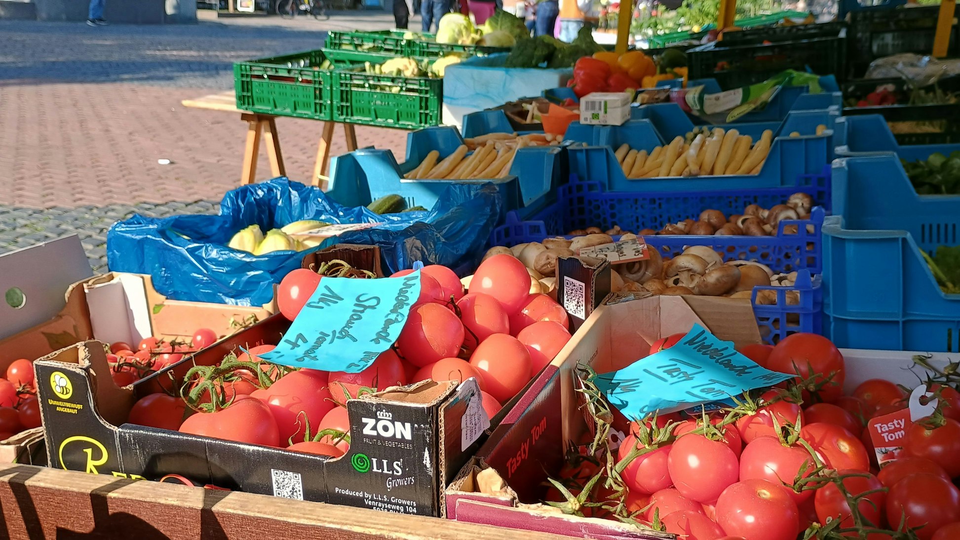 Auf dem Bild sieht man Tomaten in Kartons, dahinter weitere Gemüsekisten mit Pilzen, Spargel und anderen Gemüse- und Obstsorten.
